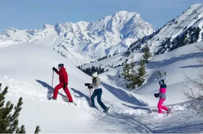L'établissement L'Igloo, 2050m La Plagne, F2 Haut de gamme en hiver