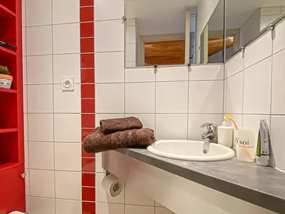 Salle de bains dans l'établissement Studio confortable 4 pers avec terrasse, animaux admis et WiFi gratuit - FR-1-840-9