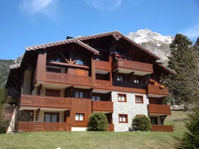 Vue générale sur la montagne ou vue sur la montagne depuis l'appartement