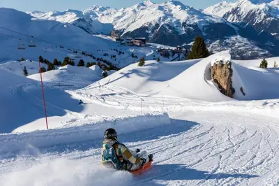 L'établissement Les Chalets du Bouquetin - Blaireau en hiver