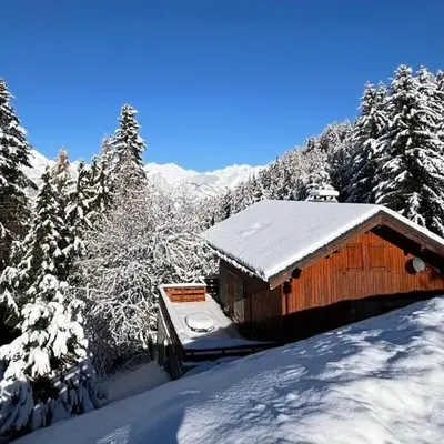 Chalet Camomille - Confortable chalet dans un quartier calme avec une vue imprenable sur la vallée et le Mont Blanc MAE-0967