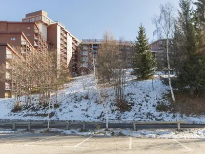 L'établissement Appartement cosy, proche centre, balcon, vue Mont Blanc - FR-1-346-483 en hiver